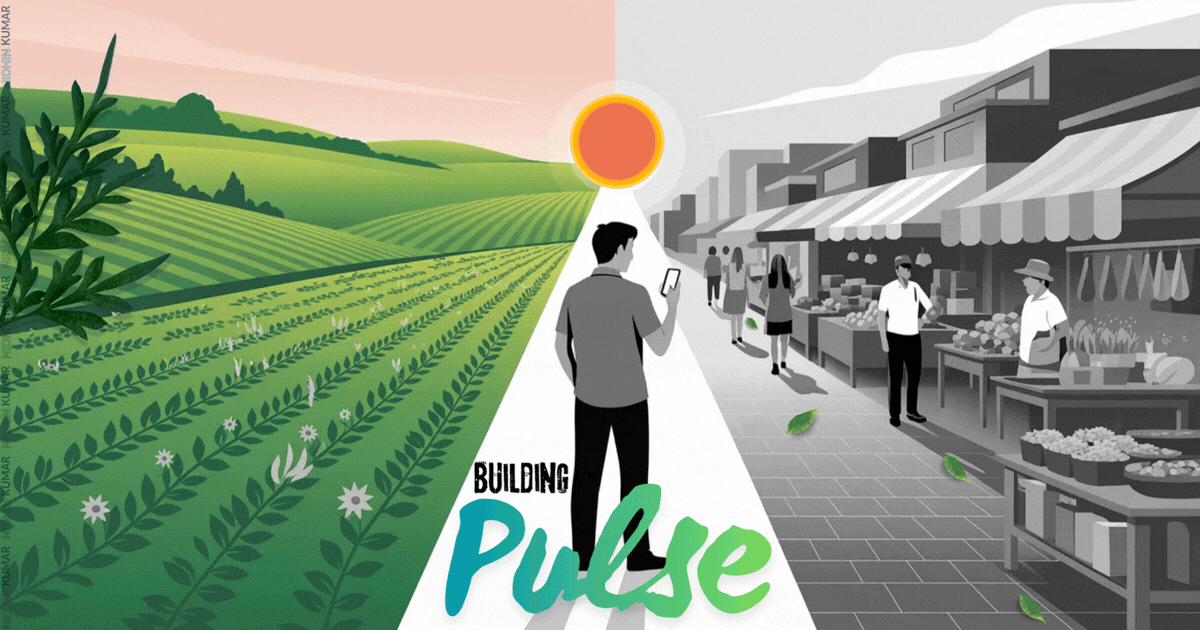 Building Pulse
